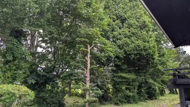 多度志神社の自然