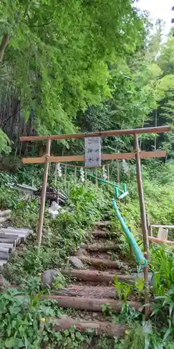 高尾山麓氷川神社の鳥居