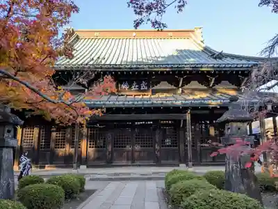 豪徳寺(東京都)