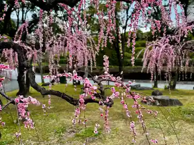 十日恵比須神社(福岡県)