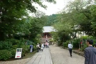矢田寺のその他建物