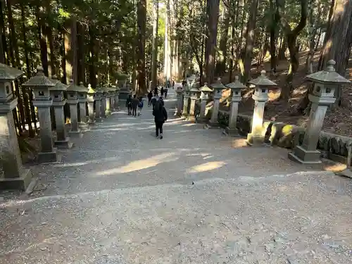 三峯神社(埼玉県)