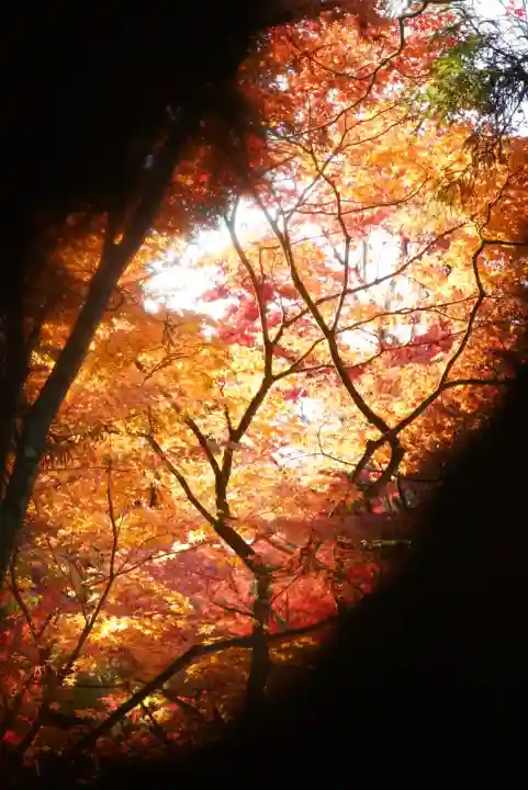 今熊野観音寺(京都府)