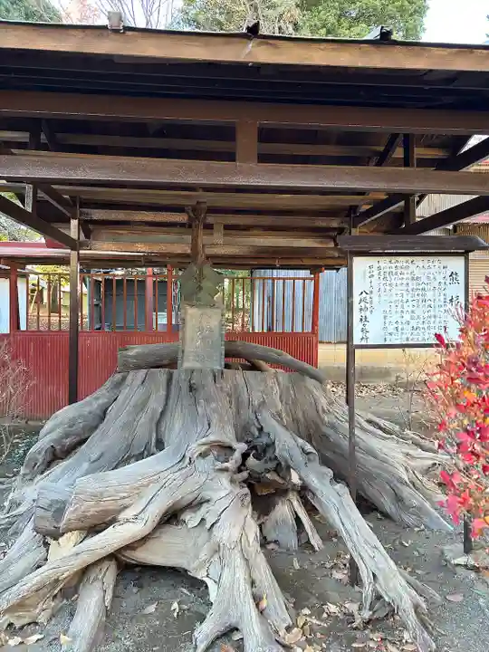 八坂神社(群馬県)
