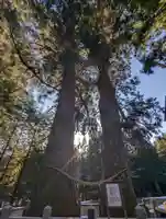岩手山神社(岩手県)