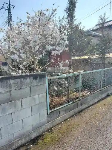 福興稲荷大神(栃木県)