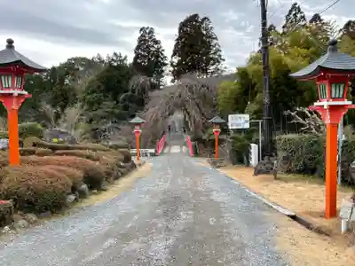 正法寺(京都府)