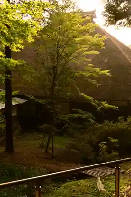 常楽寺(長野県)