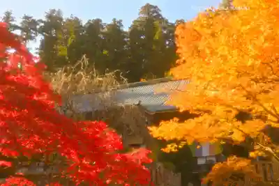 最乗寺（道了尊）(神奈川県)
