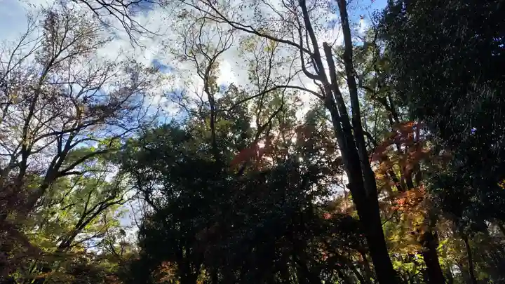 賀茂御祖神社(下鴨神社)(京都府)