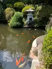 子安地蔵寺の庭園