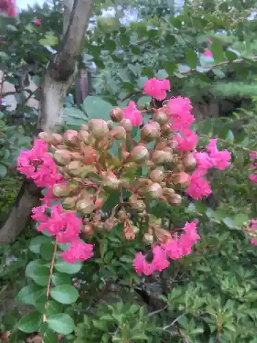 龍馬神社の自然