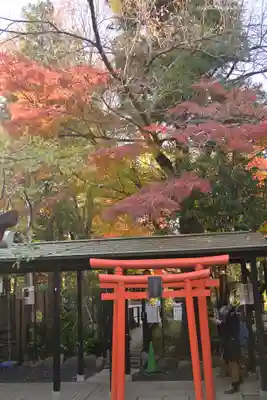 愛宕神社の鳥居
