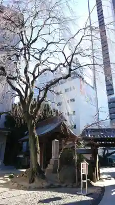 常圓寺のその他建物