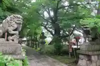 神炊館神社 ⁂奥州須賀川総鎮守⁂の狛犬