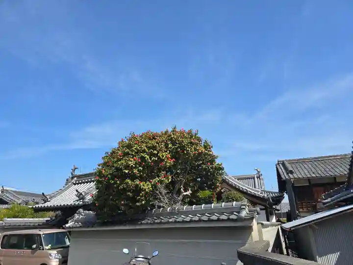 光明寺(大阪府)