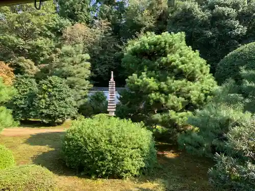 隨心院（随心院）の庭園