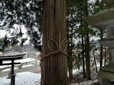 赤瀧神社の{uncategorized: "未分類", other: "その他", undefined: "問題あり", building: "その他建物", grave: "お墓", sacred_gate: "鳥居", guardian: "狛犬", statue: "像", buddha: "仏像", history: "歴史", nature: "自然", garden: "庭園", animal: "動物", pagoda: "塔", temizu: "手水舎", mountain_gate: "山門・神門", sanctuary: "本殿・本堂", subordinate: "末社・摂社", art: "芸術", scenery: "景色", jizo: "地蔵", ema: "絵馬", goshuin: "御朱印", omikuji: "おみくじ", items: "授与品その他", amulet: "お守り", goshuincho: "御朱印帳", eats: "食事", festival: "お祭り", votive_dance: "神楽", shichigosan: "七五三参", wedding: "結婚式", experience: "体験その他", initially: "初詣", around: "周辺", anti_infection: "感染症対策"}