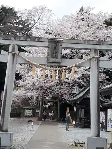 前玉神社の鳥居