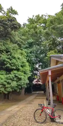 日枝神社(千葉県)