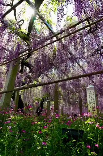 三大神社(滋賀県)