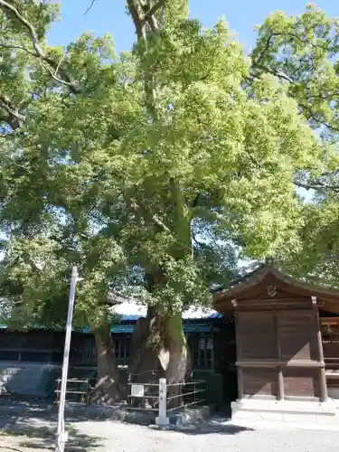 焼津神社の建物その他