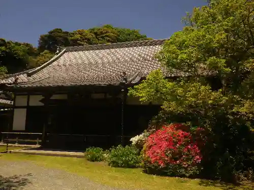 浄光明寺の本殿・本堂