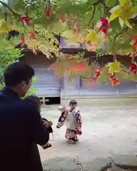 滑川神社 - 仕事と子どもの守り神の七五三参