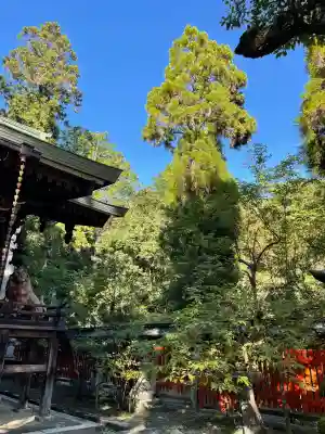 赤山禅院(京都府)