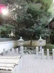 八所御霊神社の自然