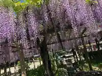 日吉神社の庭園