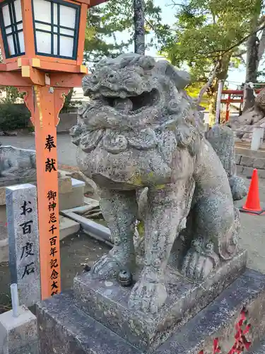 篠栗総鎮守 老松神社の狛犬