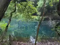 丸池神社(山形県)