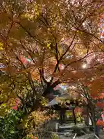 神應寺(京都府)