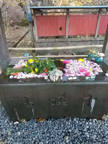 前玉神社の手水