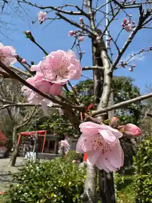 冠稲荷神社(群馬県)