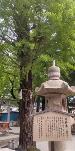 草加神社(埼玉県)