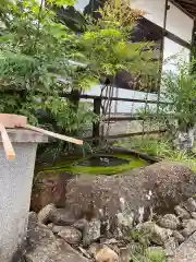 高徳寺の手水