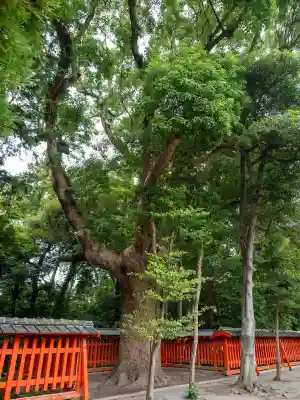 香椎宮(福岡県)