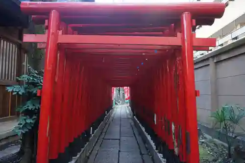 冨士神社の鳥居