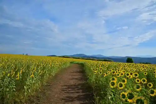 沢山神社（澤山神社)(新潟県)