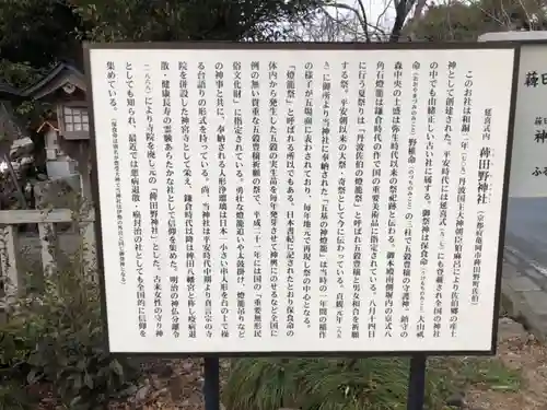 稗田野神社(薭田野神社)の歴史