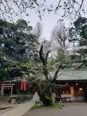 乃木神社(東京都)