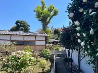 禅定院の{uncategorized: "未分類", other: "その他", undefined: "問題あり", building: "その他建物", grave: "お墓", sacred_gate: "鳥居", guardian: "狛犬", statue: "像", buddha: "仏像", history: "歴史", nature: "自然", garden: "庭園", animal: "動物", pagoda: "塔", temizu: "手水舎", mountain_gate: "山門・神門", sanctuary: "本殿・本堂", subordinate: "末社・摂社", art: "芸術", scenery: "景色", jizo: "地蔵", ema: "絵馬", goshuin: "御朱印", omikuji: "おみくじ", items: "授与品その他", amulet: "お守り", goshuincho: "御朱印帳", eats: "食事", festival: "お祭り", votive_dance: "神楽", shichigosan: "七五三参", wedding: "結婚式", experience: "体験その他", initially: "初詣", around: "周辺", anti_infection: "感染症対策"}