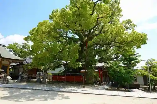 龍田神社の自然