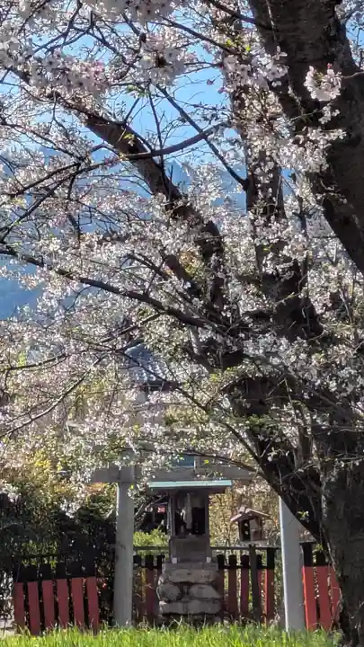 小唐崎神社(滋賀県)