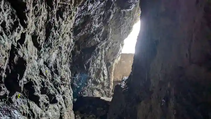 江の島岩屋の自然