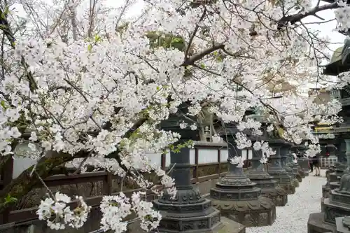 上野東照宮の自然