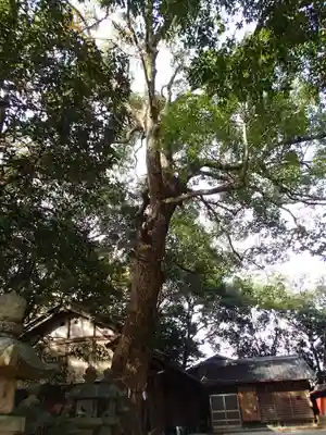 雲甘寺坐楢本神社(奈良県)