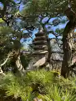 寿寧寺(滋賀県)